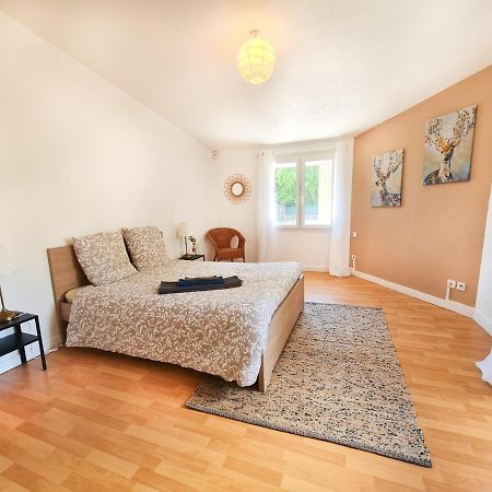 Le Zola - Appartement Spacieux - Grenoble Eksteriør billede