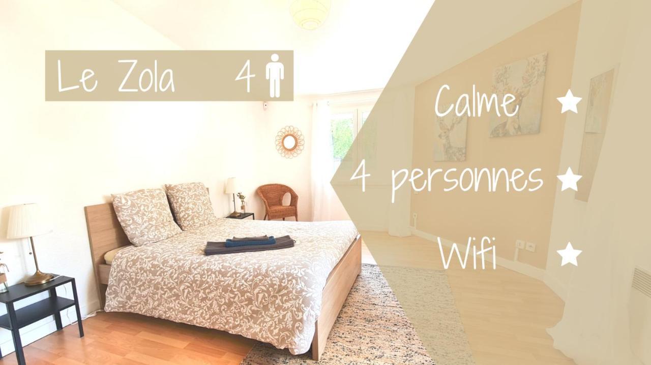 Le Zola - Appartement Spacieux - Grenoble Eksteriør billede